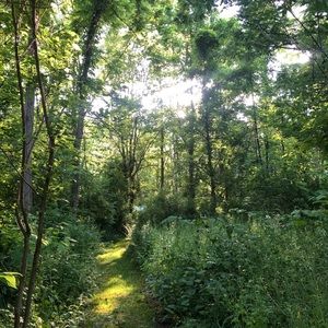 Meet your Posher, Marcia